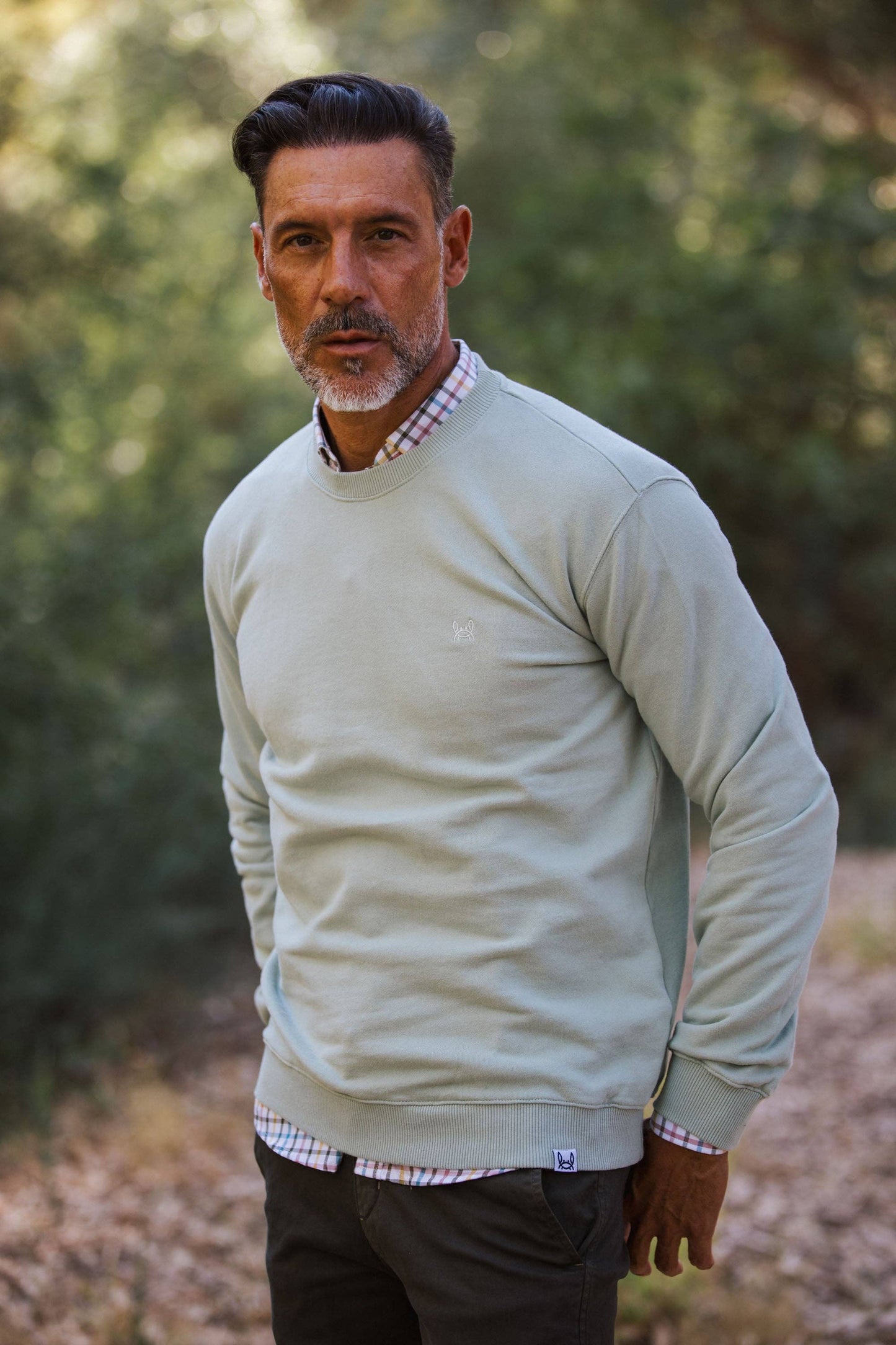 Ash Basic Sweatshirt | Appel