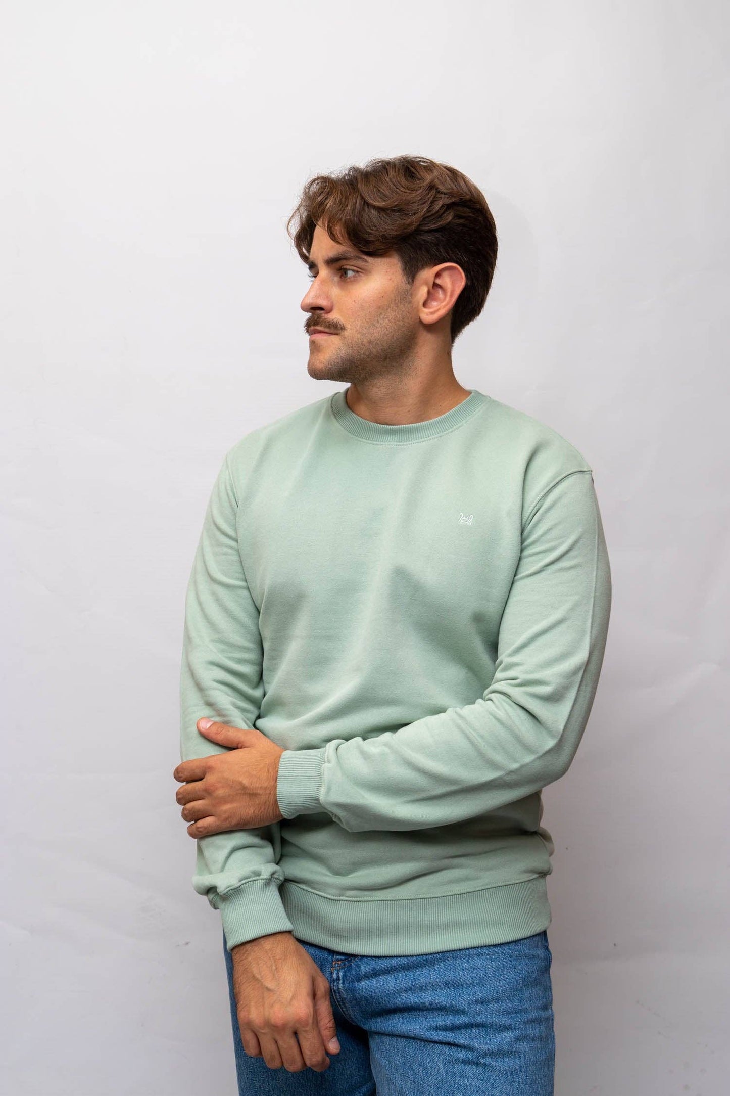 Appelgroene Basis Sweater: Appel / XL