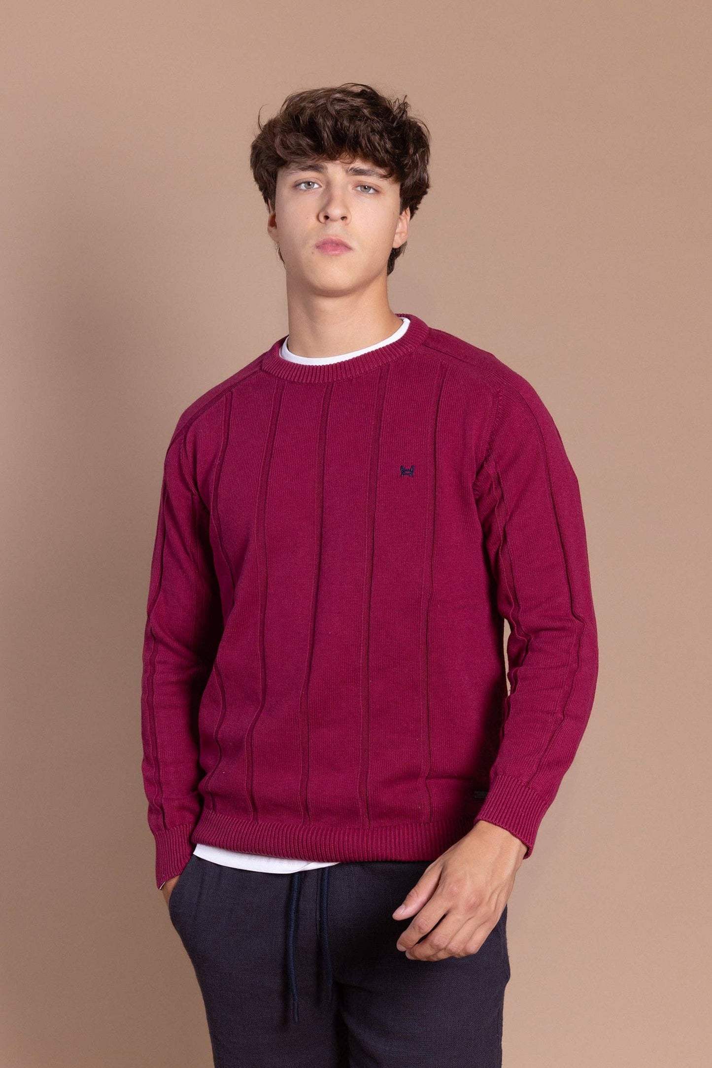 Bordeaux trui met verticale strepen: M