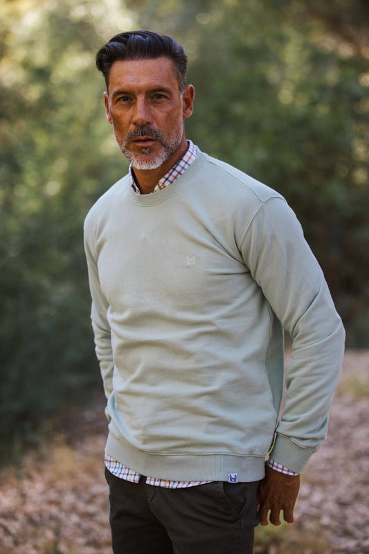 Ash Basic Sweatshirt | Appel