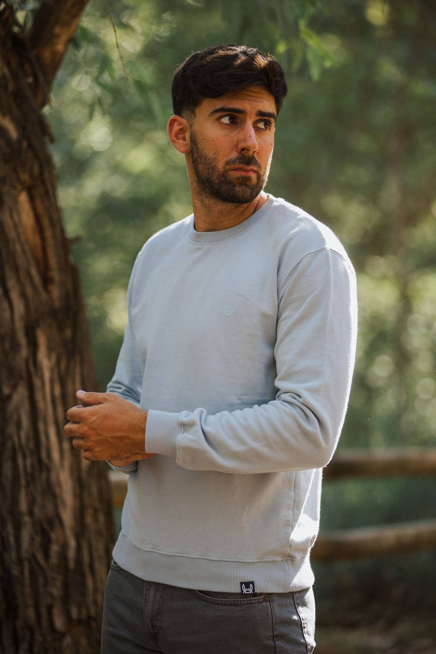 Sweatshirt Celeste Basic| Hemels