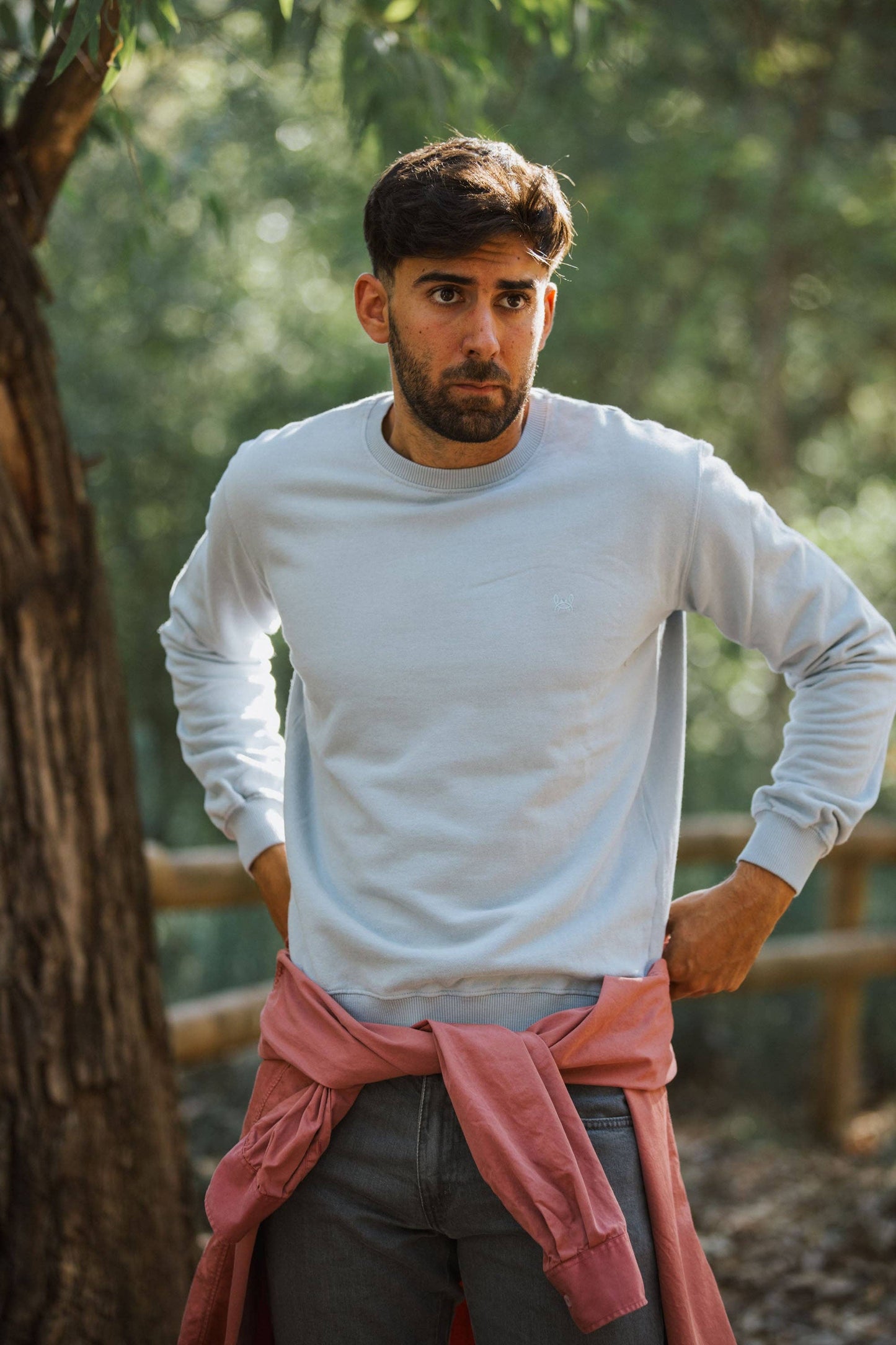 Sweatshirt Celeste Basic| Hemels